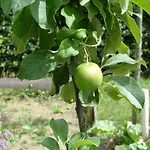 La Fermette Blanche