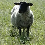 La Fermette Blanche Отель типа 