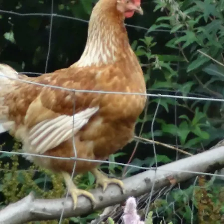 La Fermette Blanche *