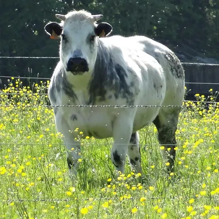 La Fermette Blanche Bed & Breakfast 3*