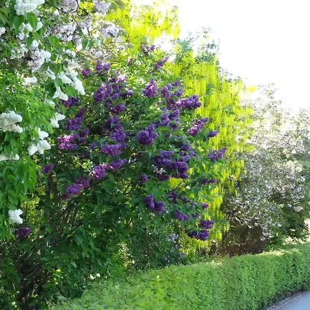 La Fermette Blanche 3* Nadrin