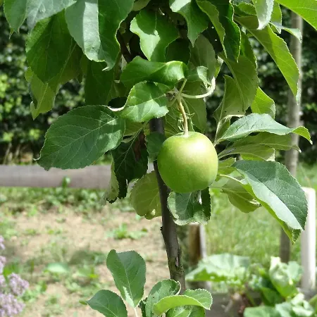 La Fermette Blanche