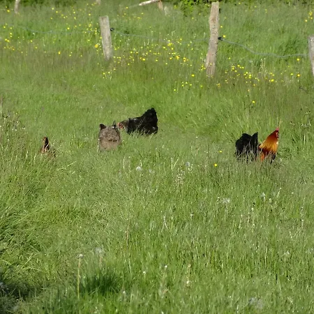 La Fermette Blanche Bed & Breakfast