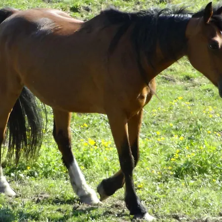 Bed & Breakfast La Fermette Blanche 3*