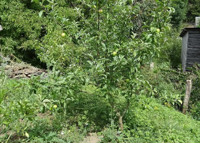 Nocleg ze śniadaniem La Fermette Blanche