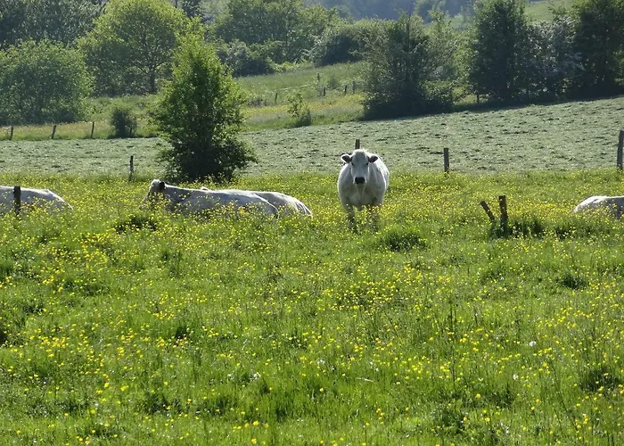 La Fermette Blanche Nocleg ze śniadaniem 3*