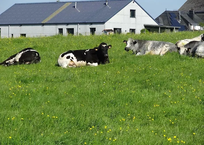 Nocleg ze śniadaniem La Fermette Blanche 3*