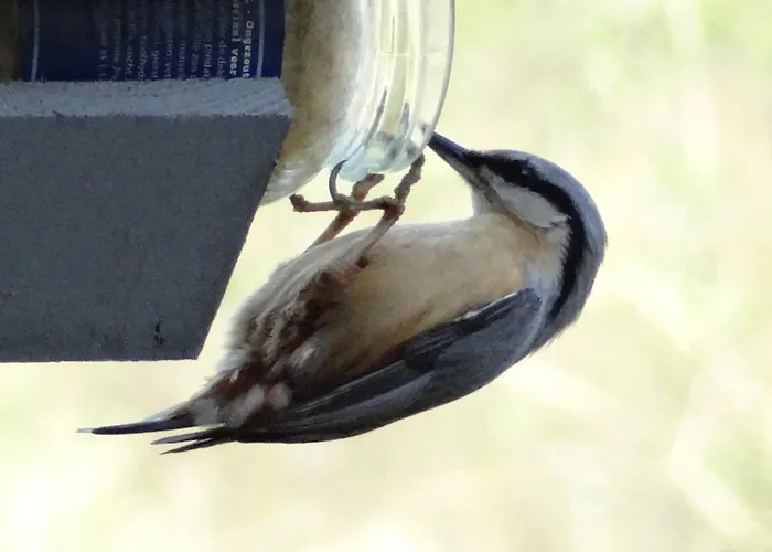 La Fermette Blanche 3* Nadrin