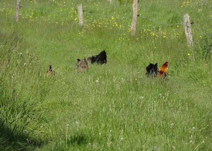 La Fermette Blanche Nocleg ze śniadaniem