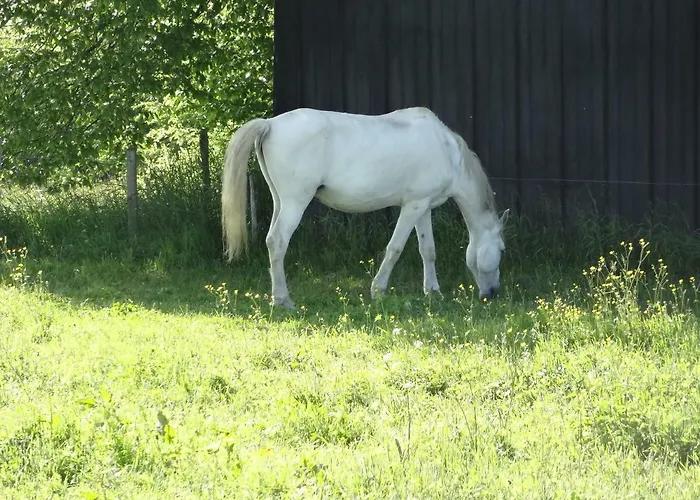 La Fermette Blanche 3*